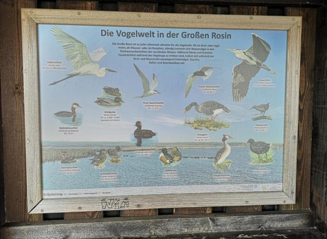 Sommerhaus Verchen Eksteriør bilde
